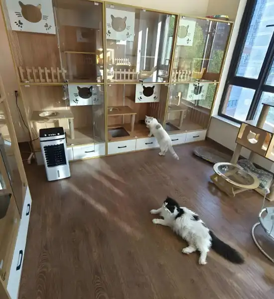 gs pills | Shaanxi BLOOM Tech Co., Ltd