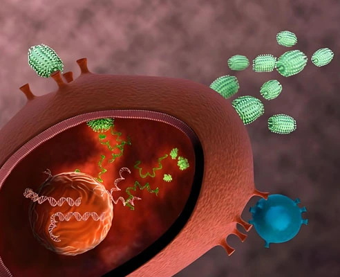 gs treatment fip | Shaanxi BLOOM Tech Co., Ltd gs treatment fip | Shaanxi BLOOM Tech Co., Ltd