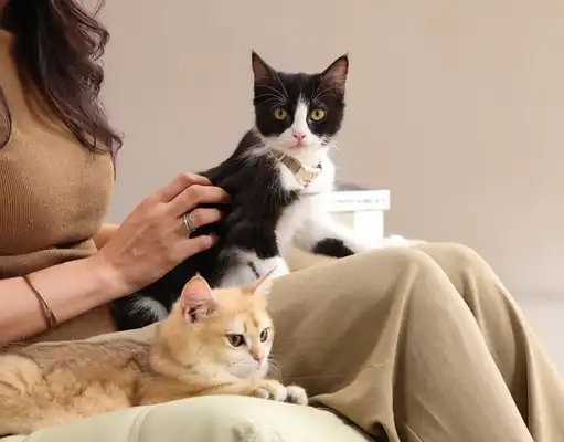 gs 441524 cost  | Shaanxi BLOOM Tech Co., Ltd