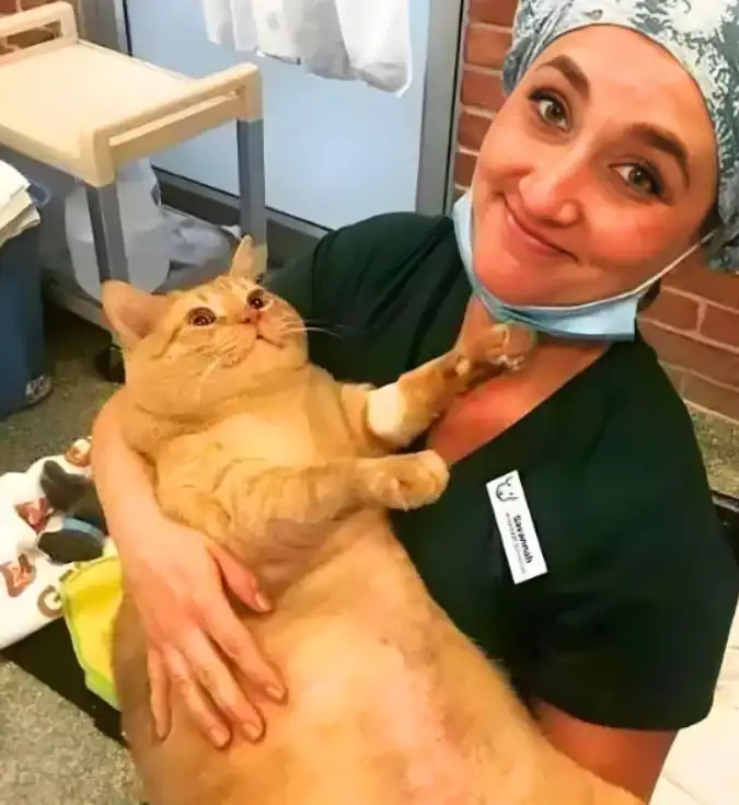 GS-441524 cost | Shaanxi BLOOM Tech Co., Ltd