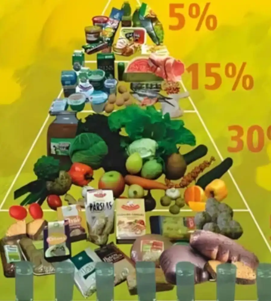 GS-441524 Injection Application | Shaanxi BLOOM Tech Co., Ltd GS-441524 Injection Application | Shaanxi BLOOM Tech Co., Ltd