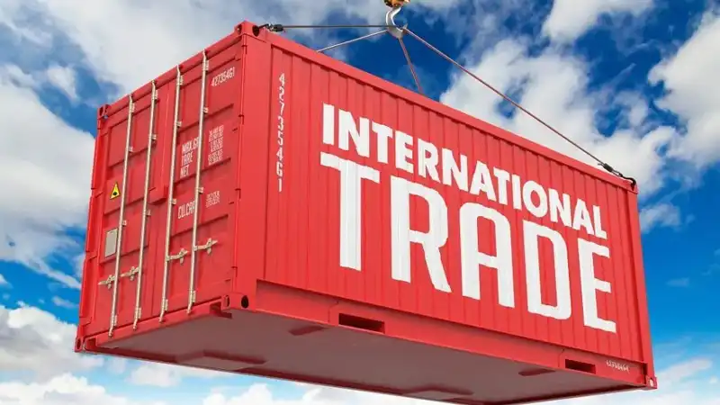 GS-441524 Fip | Shaanxi BLOOM Tech Co., Ltd