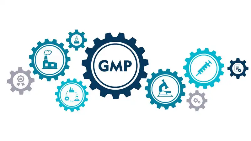 fip injection | Shaanxi BLOOM Tech Co., Ltd