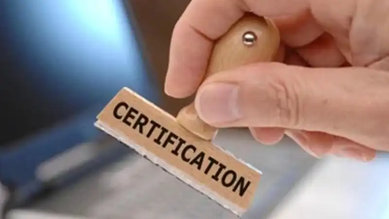 fipv injection | Shaanxi BLOOM Tech Co., Ltd