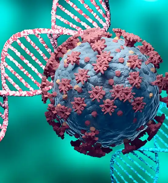 gs 441524 drug | Shaanxi BLOOM Tech Co., Ltd gs 441524 drug | Shaanxi BLOOM Tech Co., Ltd