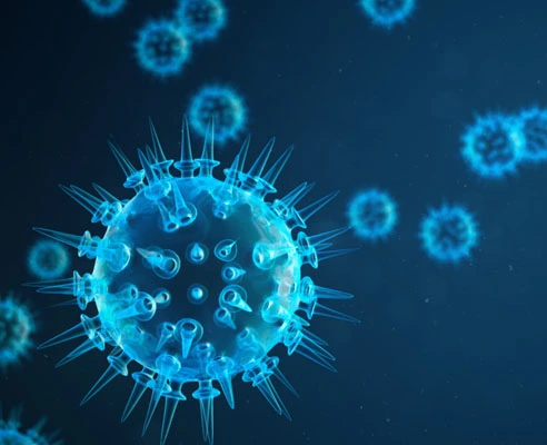 fip gs injection| Shaanxi BLOOM Tech Co., Ltd fip gs injection| Shaanxi BLOOM Tech Co., Ltd