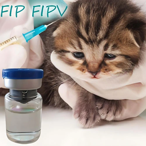 antiviral gs 441524 | Shaanxi BLOOM Tech Co., Ltd