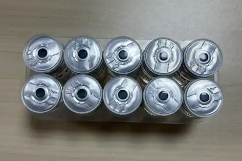GS-441524 Fip | Shaanxi BLOOM Tech Co., Ltd