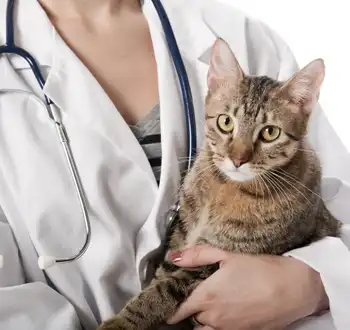 GS-441524 Fip | Shaanxi BLOOM Tech Co., Ltd GS-441524 Fip | Shaanxi BLOOM Tech Co., Ltd