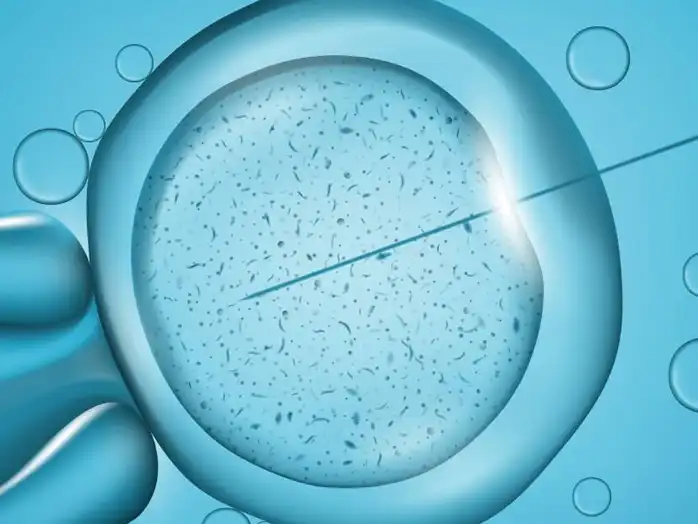 GS-441524 Fip | Shaanxi BLOOM Tech Co., Ltd GS-441524 Fip | Shaanxi BLOOM Tech Co., Ltd