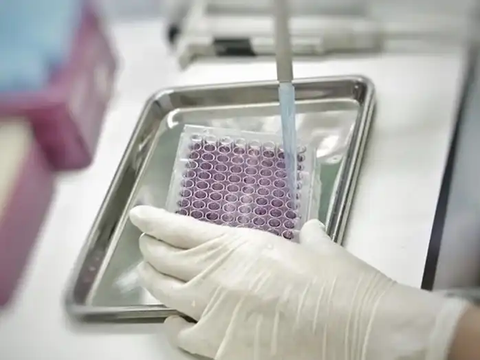 GS-441524 Fip | Shaanxi BLOOM Tech Co., Ltd GS-441524 Fip | Shaanxi BLOOM Tech Co., Ltd