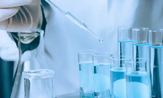 GS-441524 Powder | Shaanxi BLOOM Tech Co., Ltd