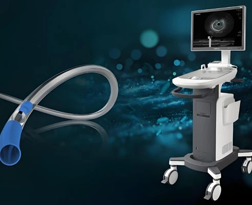 GS-441524 Fip use| Shaanxi BLOOM Tech Co., Ltd