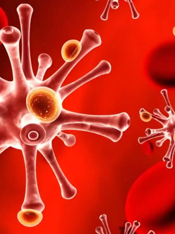 gs 441524 buy online  | Shaanxi BLOOM Tech Co., Ltd