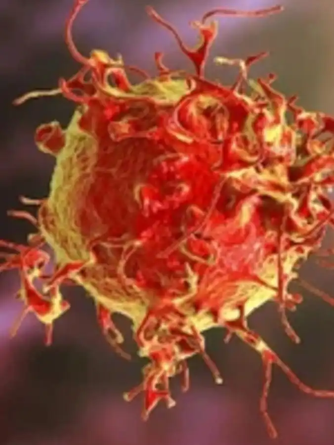 gs 441524 fip | Shaanxi BLOOM Tech Co., Ltd gs 441524 fip | Shaanxi BLOOM Tech Co., Ltd