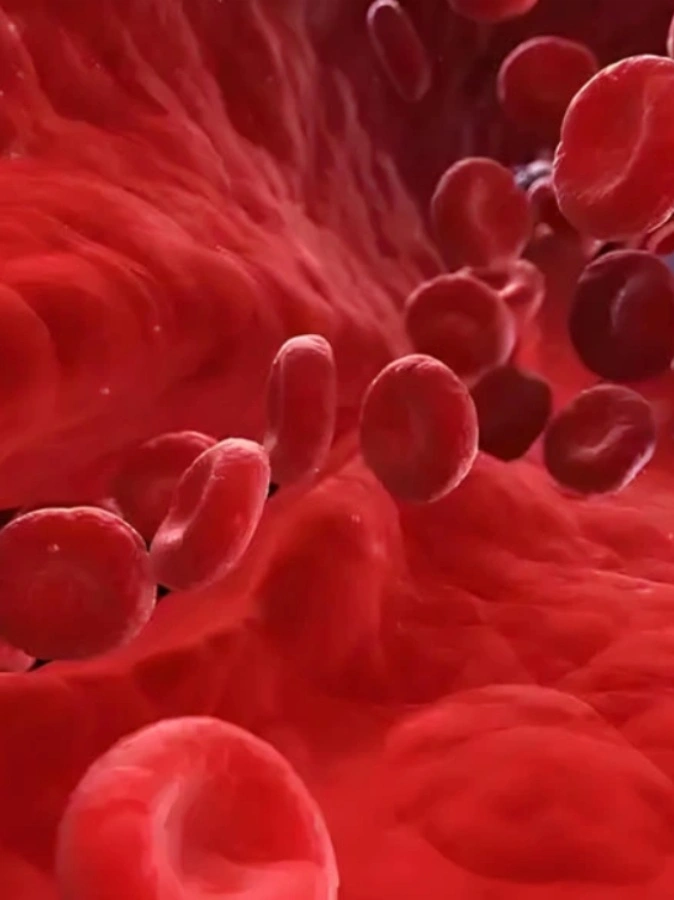 gs 441524 precio  | Shaanxi BLOOM Tech Co., Ltd