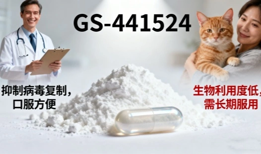 GS-441524 Powder vs Pills: Top Benefits and Drawbacks Explained
