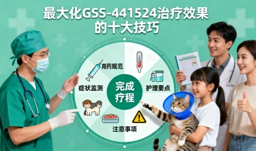 Top 10 Tips for Maximizing GS-441524 Treatment Effectiveness