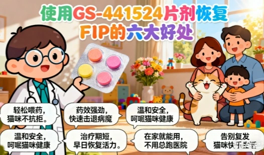 Top 6 Benefits of Using GS-441524 Tablets for FIP Recovery