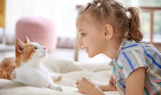 Personal Experience: How I Cured My Cat's Dry FIP with GS-441524
